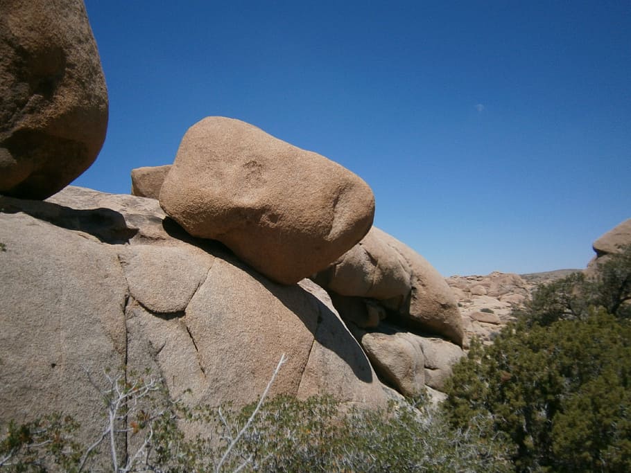 joshua tree, rock, desert, solid, rock - object, sky, rock formation HD wallpaper