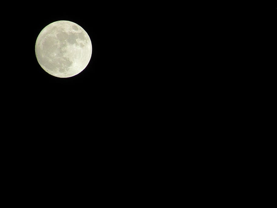 moon, supermoon, night, winter, moonlight, full moon, celestial HD wallpaper