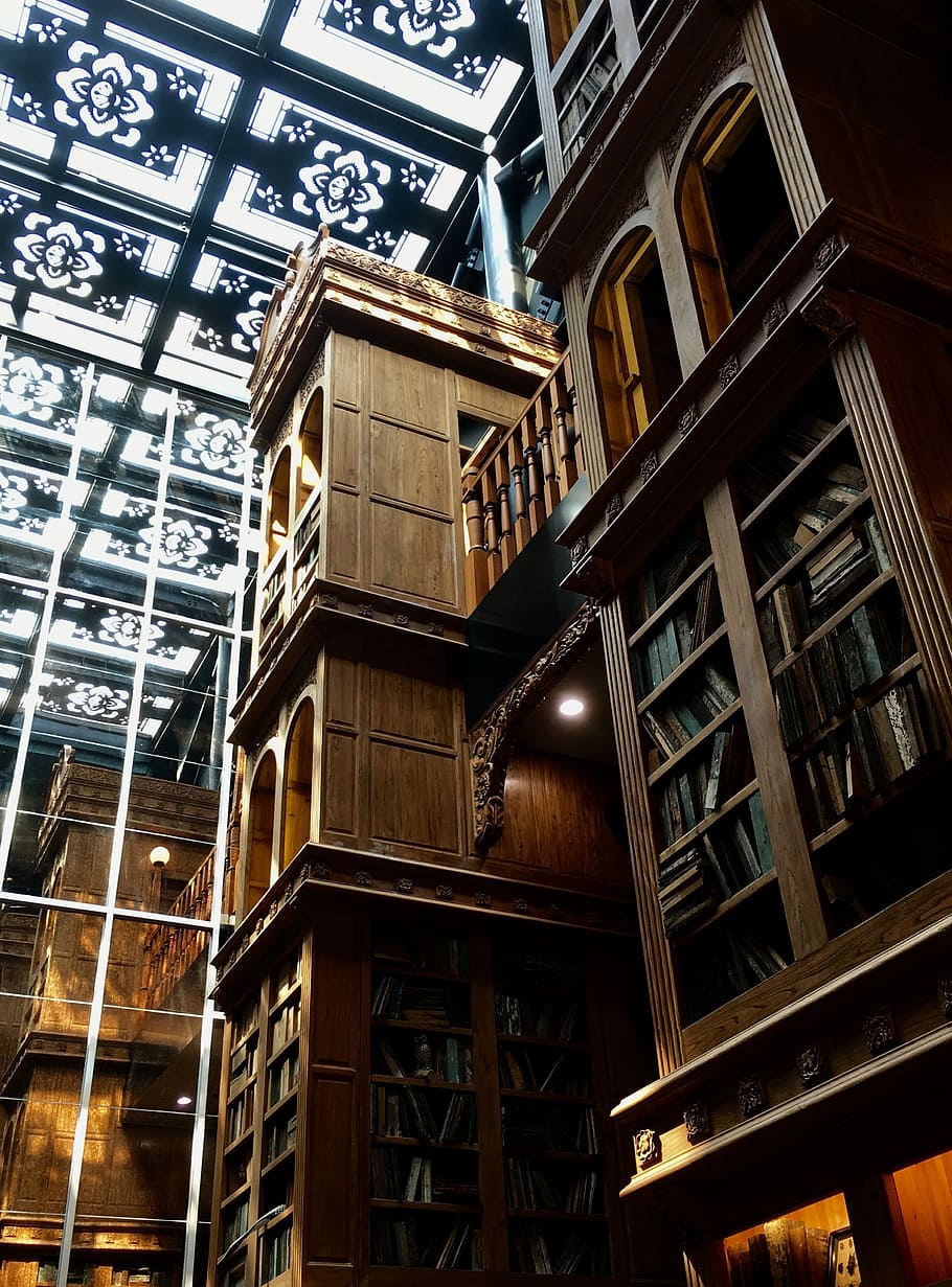 Fahrenheit 451, brown wooden bookshelf with books under glass roof HD wallpaper