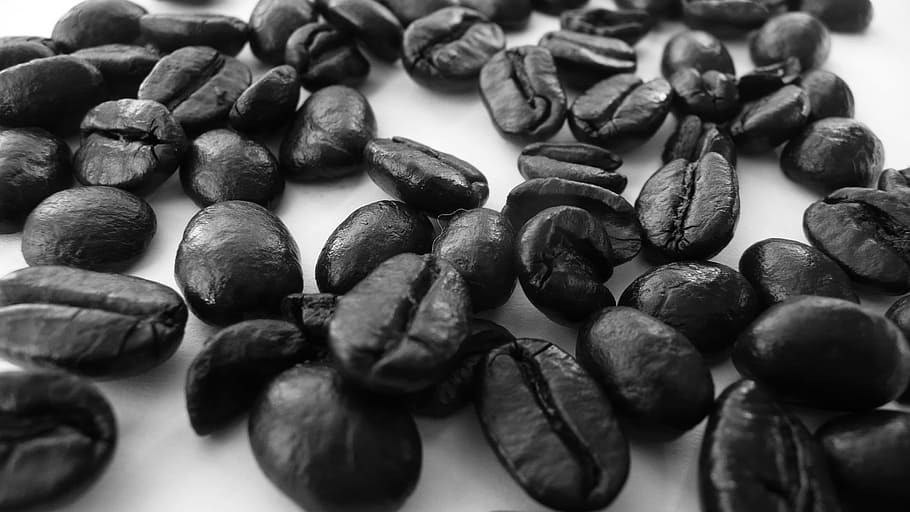 grayscale photo of coffee beans on, Coffee, Beans, Caffeine HD wallpaper