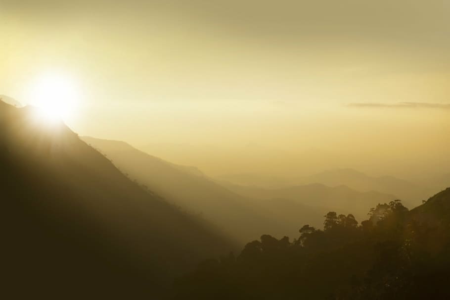 backlit, beautiful, dawn, dusk, evening, fog, foggy, golden sun HD wallpaper