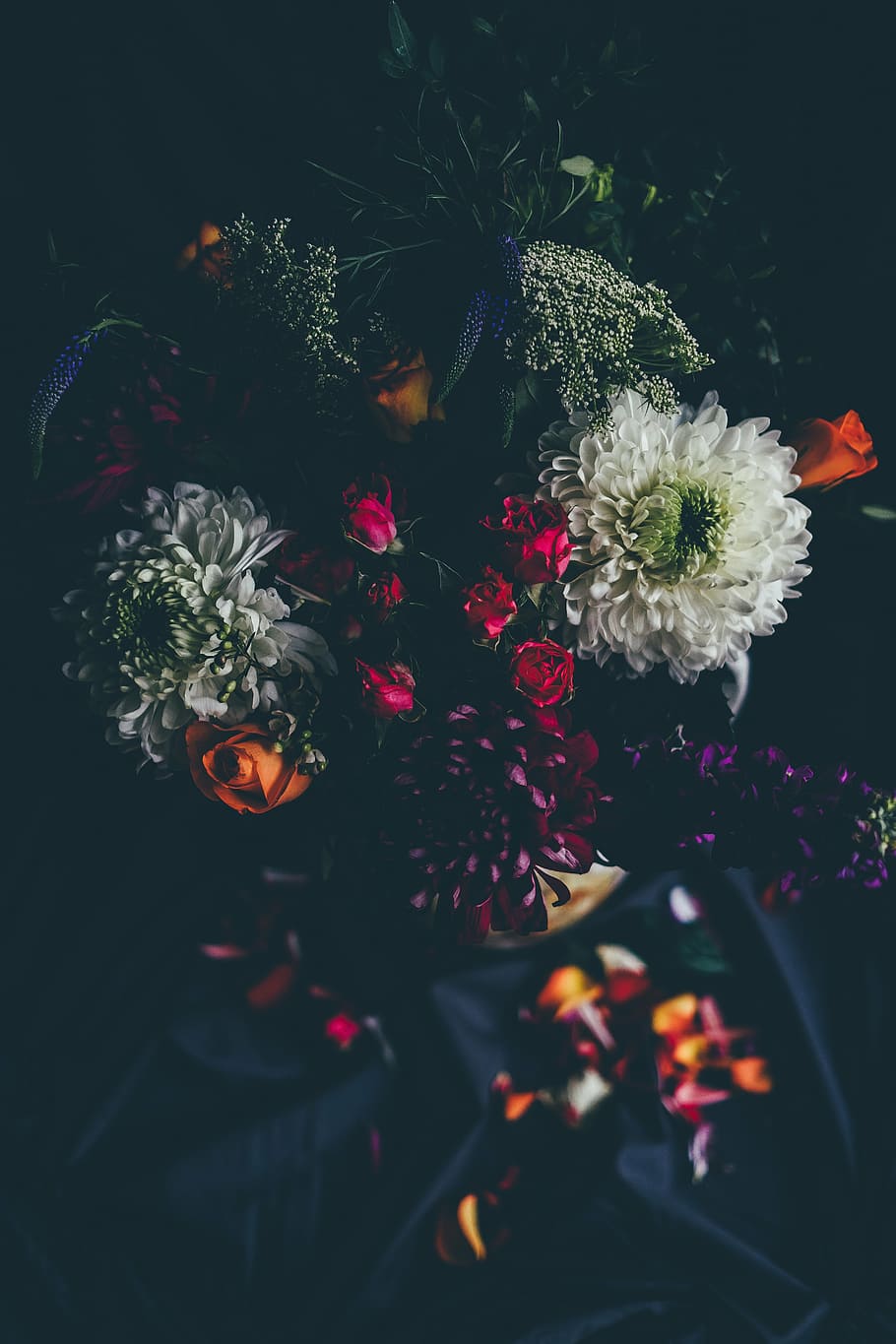 white flowers, nature, blossom, blur, bokeh, black, petals, dark, HD wallpaper