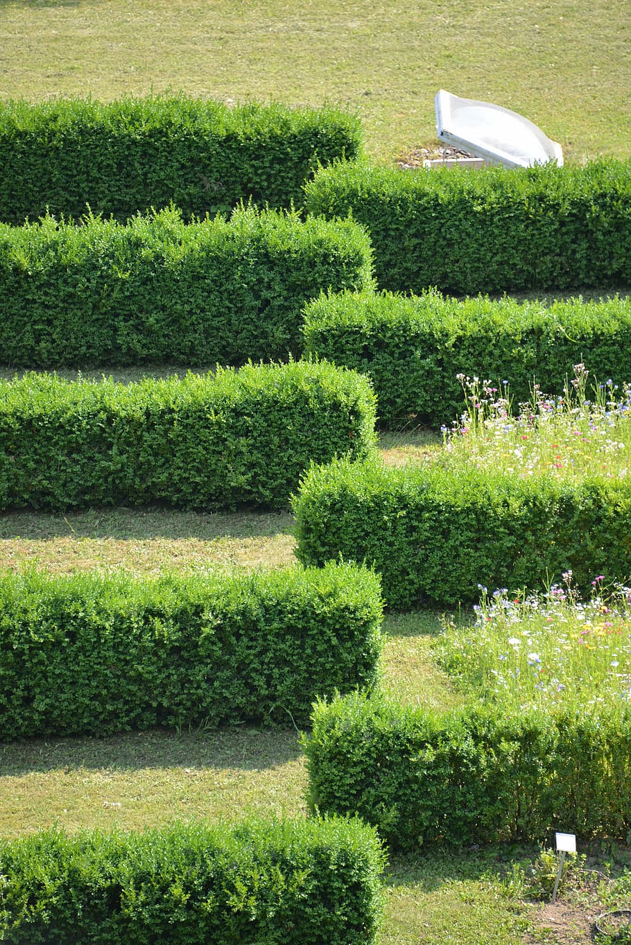 hedge, hedge accounting, structure, lines, garden, labyrinth HD wallpaper