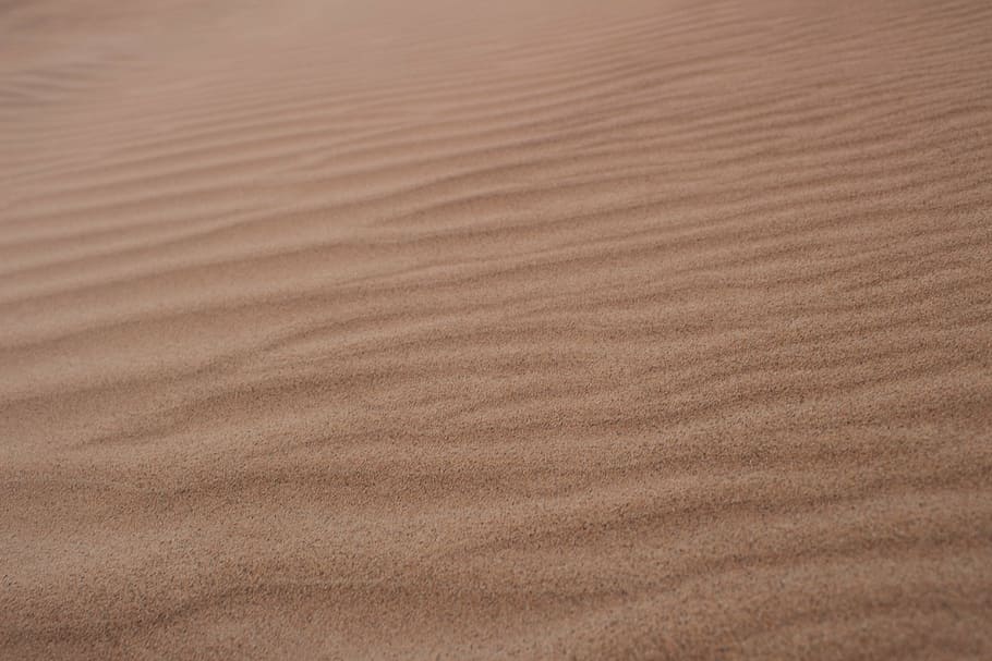 sand, dune, desert, sand Dune, nature, beach, dry, textured HD wallpaper