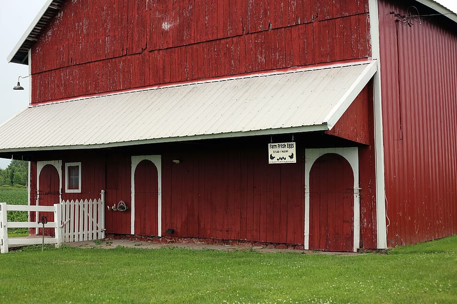 barn, red barn, barn front, old barn, barn wood, rustic barn HD wallpaper