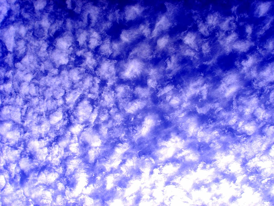 sky, white cloud, pure, light, day, blue, backgrounds, nature HD wallpaper