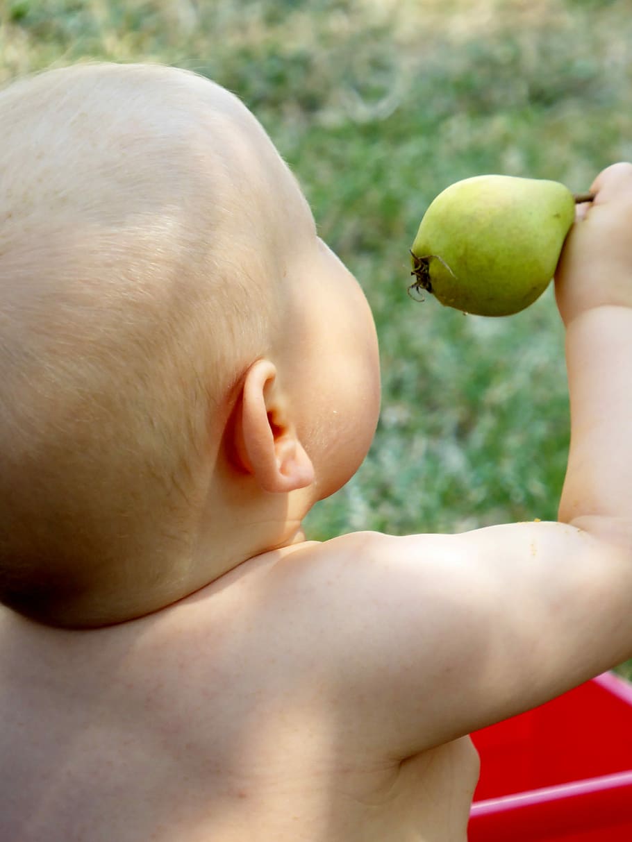 Small, Child, Play, Development, baby, small child, detention HD wallpaper