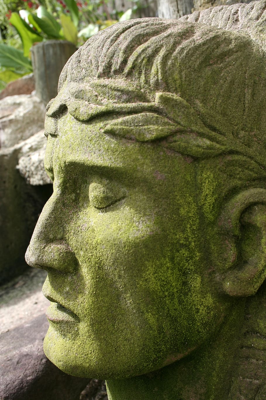 held, stone, art, head, sculpture, statue, art and craft, representation HD wallpaper