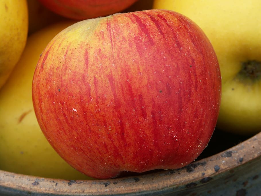 apple, red, only, food, fruit, freshness, organic, ripe, vegetarian Food HD wallpaper