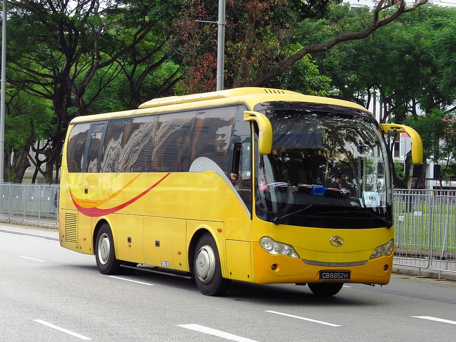 Bus, Singapore, Transport, Yellow, yellow bus, city, road, urban, HD wallpaper