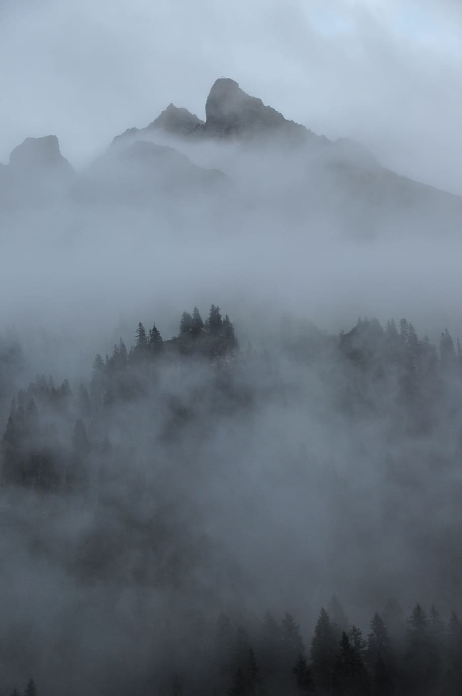 fog, clouds, mountains, forest, nature, landscape, mystical HD wallpaper
