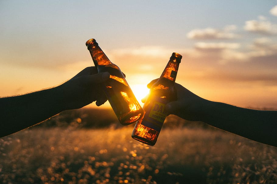 silhouette photo of two person holding beer bottles, cheers, beverage