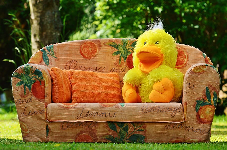 couch, sofa, duck, funny, soft toy, toys, children, meadow HD wallpaper