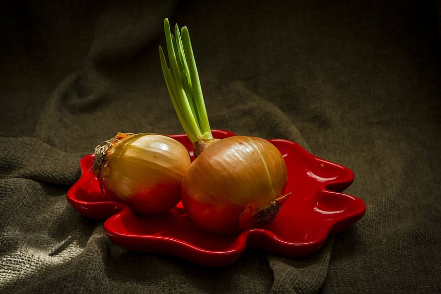 onion, vegetable, light, food and drink, red, freshness, studio shot HD wallpaper