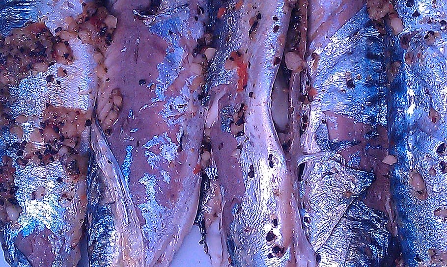 fish, mackerel, spices, mat, skins, cooking, adjusted, full frame HD wallpaper
