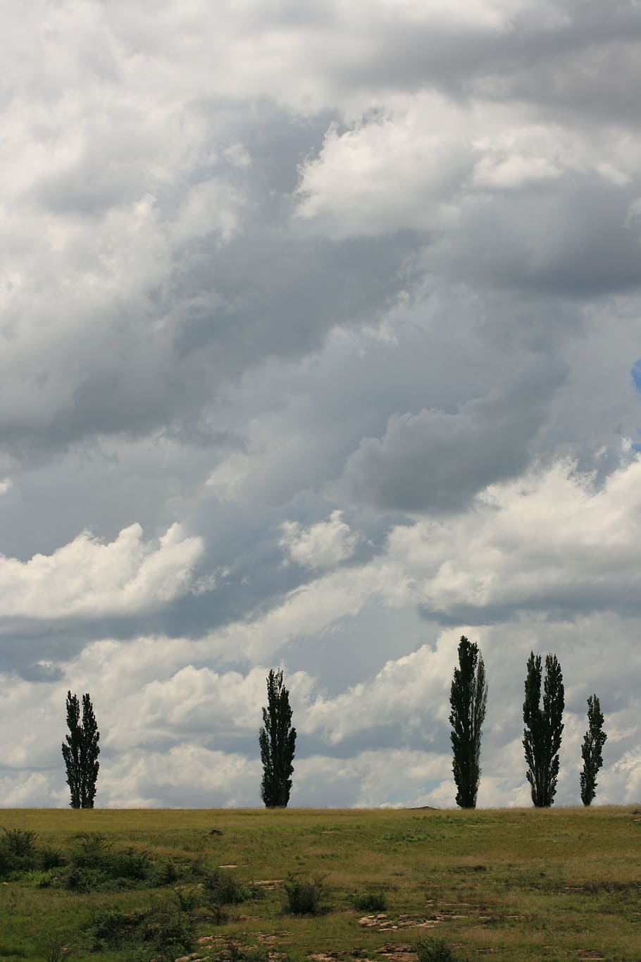 Poplars, Clouds, Landscape, Countryside, trees, summer, cloud - sky HD wallpaper