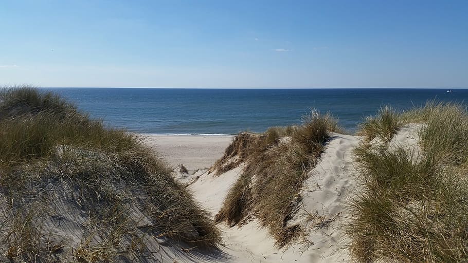 denmark, beach, sea, sand, dunes, holiday, sky, water, horizon over water HD wallpaper