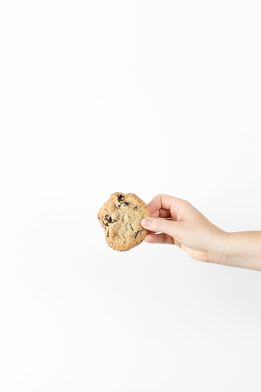 person holding cookie, food, chocolate chip, hand, minimal, human hand, HD wallpaper