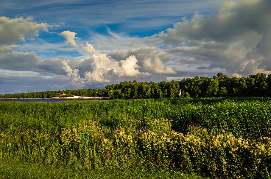 panoramic, nature, sky, cloud, landscape, peterhof, st petersburg HD wallpaper