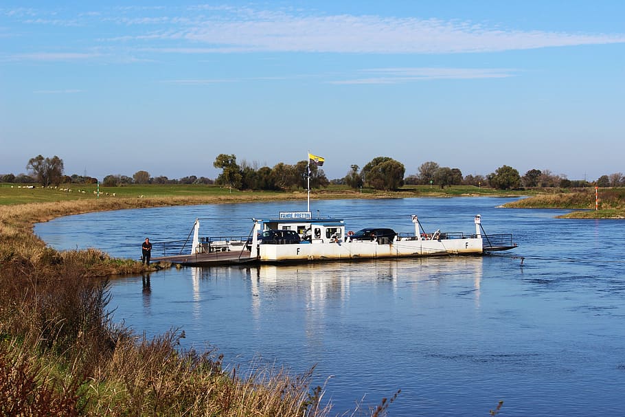 ferry, river, elbe, ship, water, prettin, elbe ferry, nautical Vessel HD wallpaper
