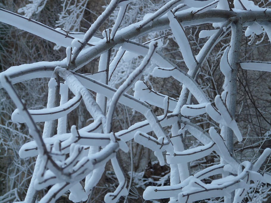 Aesthetic, Iced, Winter, Frozen, cold, white, snow, cold temperature HD wallpaper