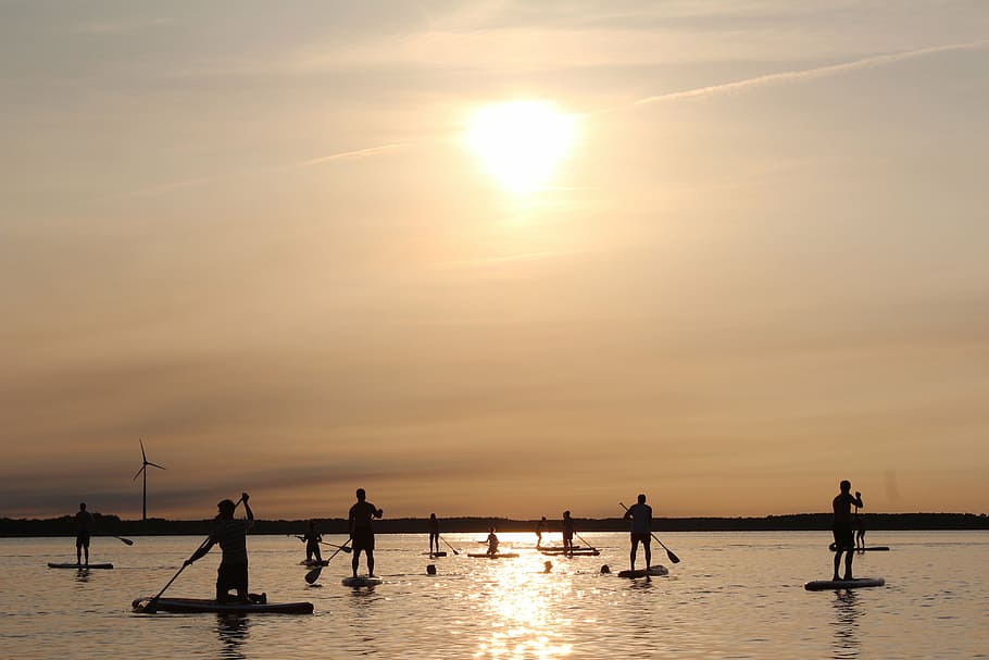 stand up paddle, sunset, reflection, silhouette, water, sunlight, HD wallpaper