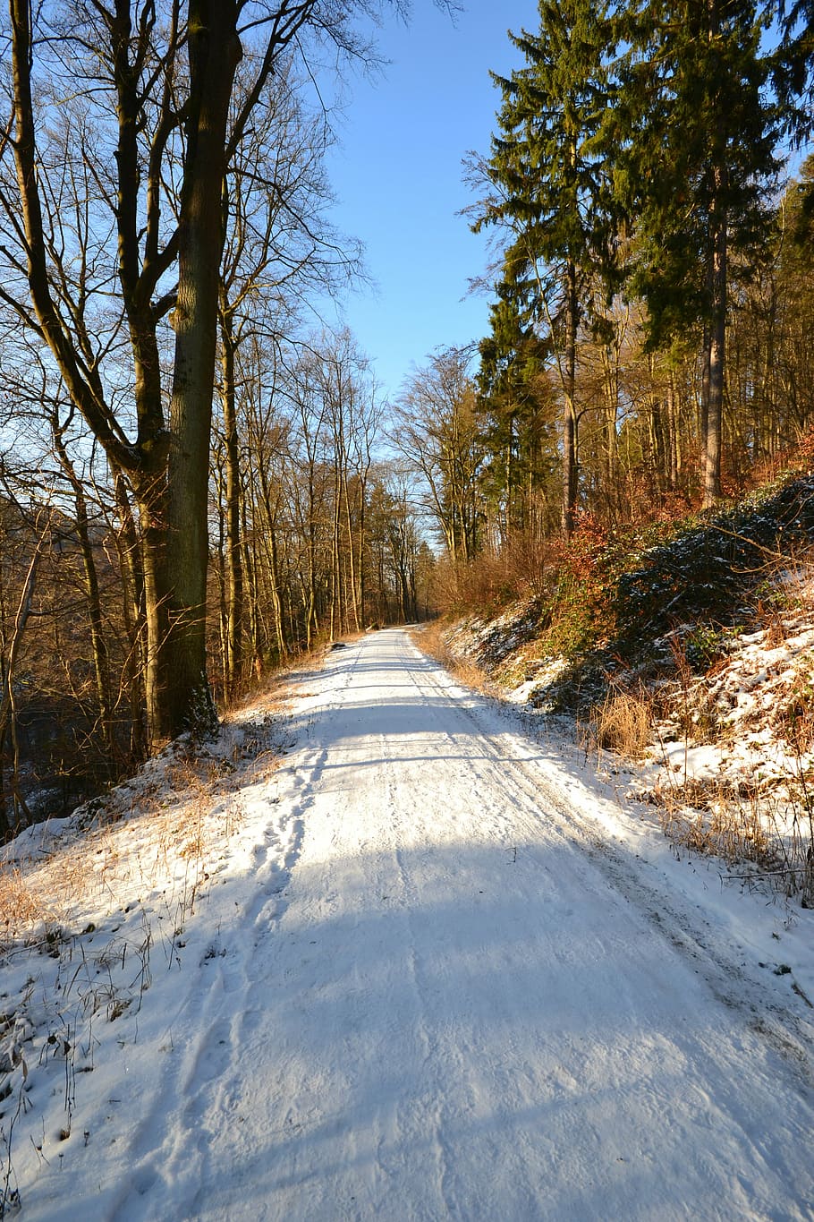 forest, away, bridge, winter, landscape, wintry, frost, frosty HD wallpaper