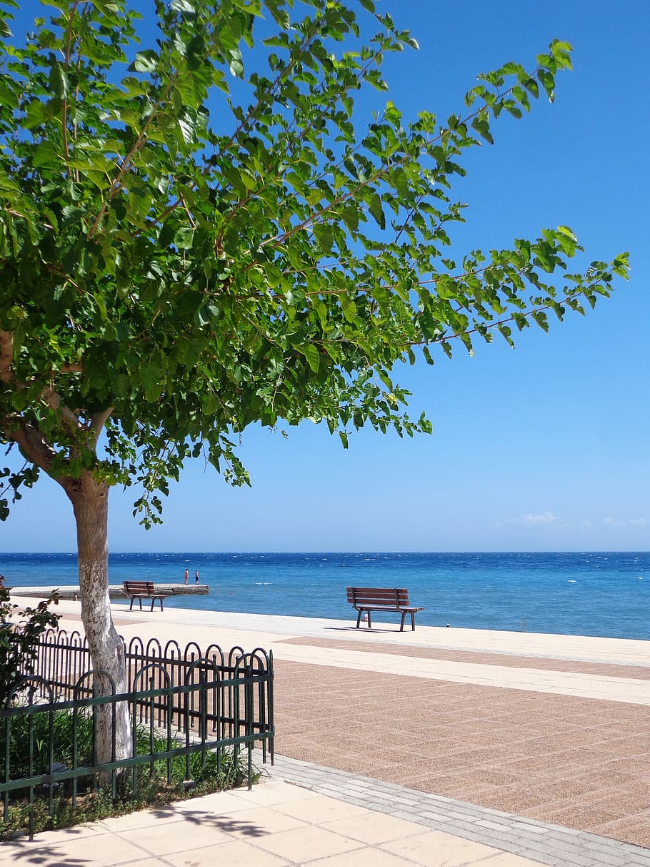 sea, tree, bench, reflection, horizon, water, horizon over water HD wallpaper