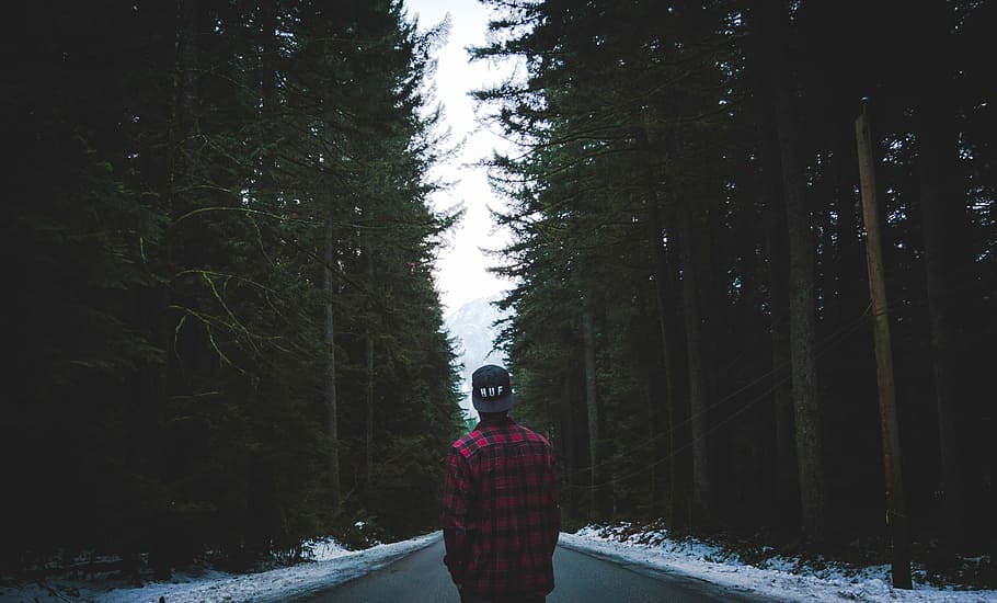 person in plaid sport shirt standing on asphalt road between trees, person standing on center road surrounded with trees HD wallpaper