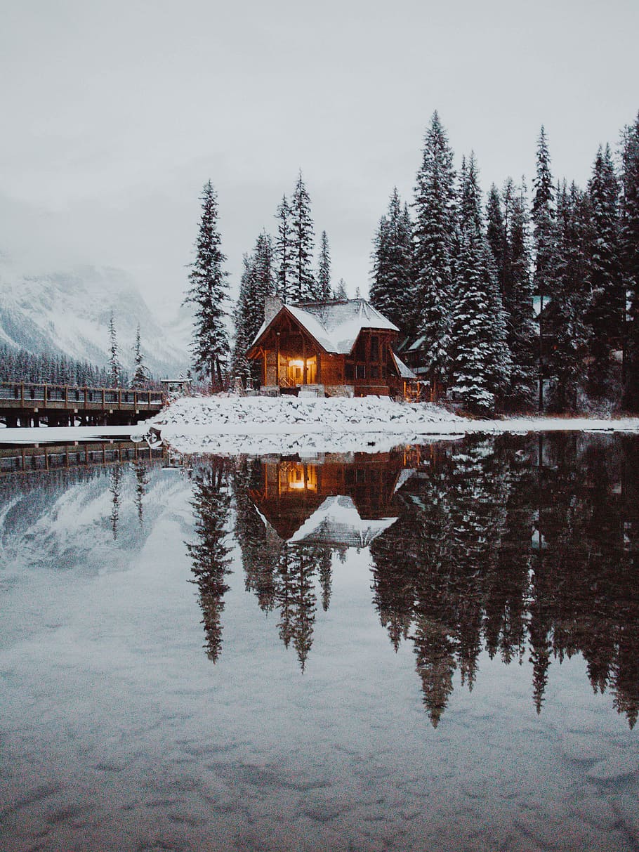 house in between trees and dock under gray sky, snow covered house beside body of water HD wallpaper