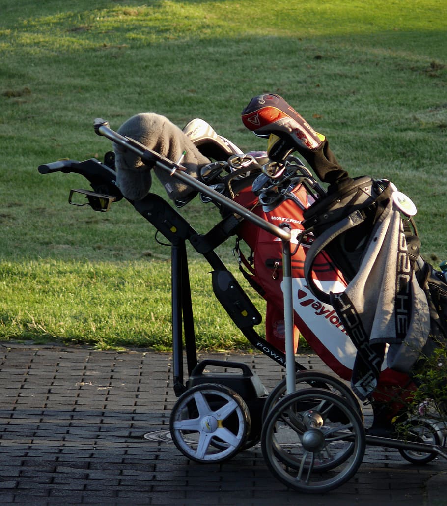golf, caddy, tee, golf carts, golf clubs, golfer, green, bat HD wallpaper