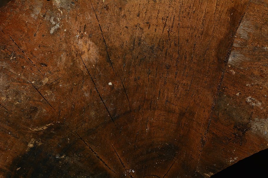 wood, structure, wood grain, texture, background, close, wood - material HD wallpaper