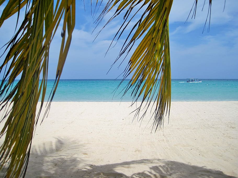 blue ocean under sky, Jamaica, Palm Trees, Beach, typical jamaican, HD wallpaper