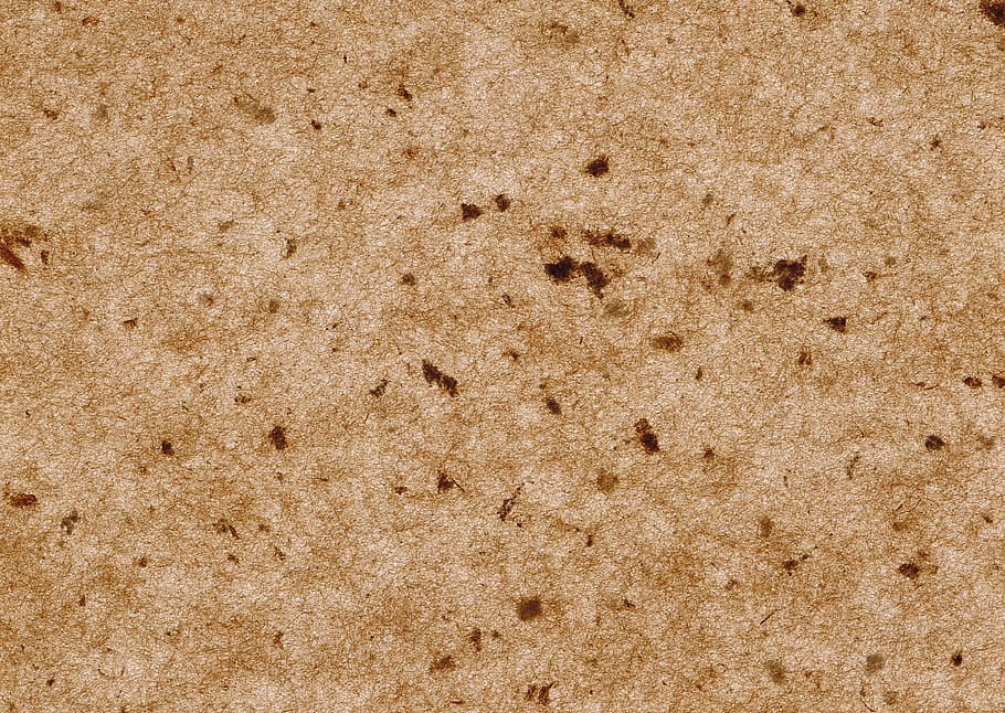 cork, texture, brown, background, backgrounds, textured, pattern HD wallpaper