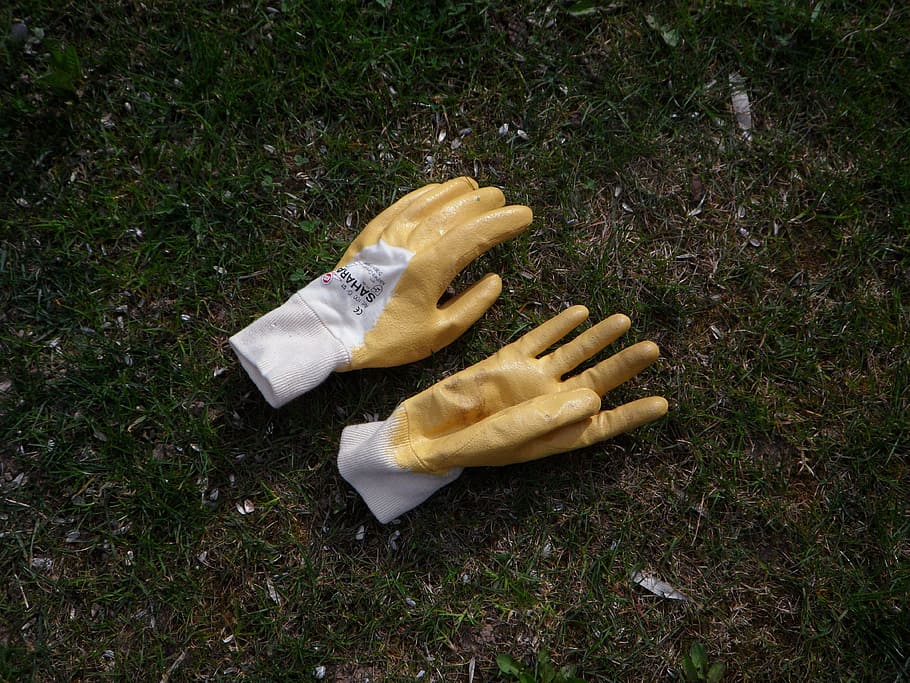 yellow-and-white gloves, Gardening, gardening gloves, clothing, HD wallpaper