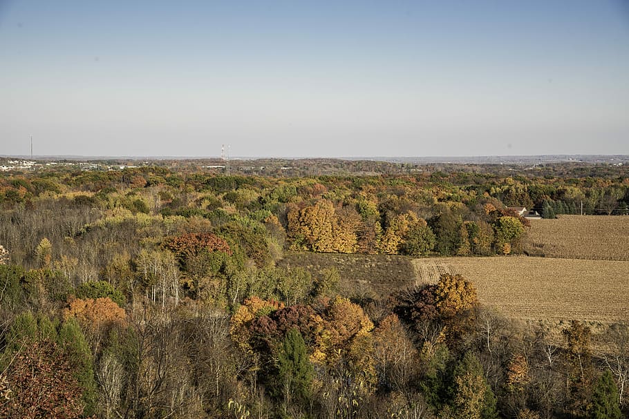 Fall trees and Foliage and landscape at Pike Lake State Park, Wisconsin HD wallpaper