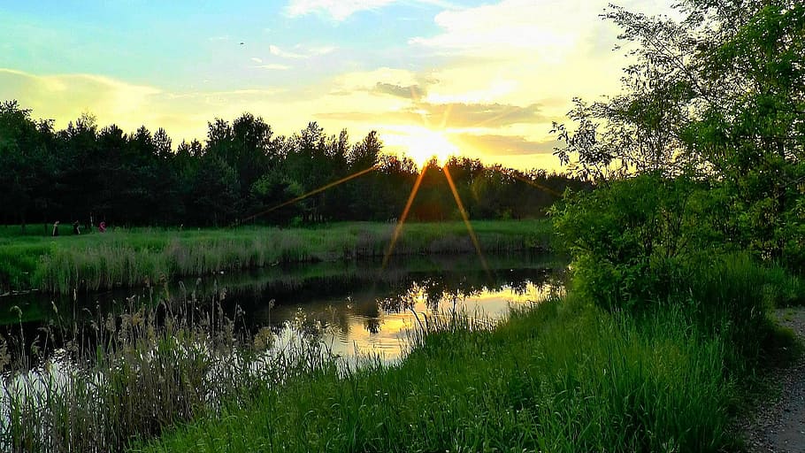 river, dawn, nature, evening, outdoors, summer, lake, sunset HD wallpaper