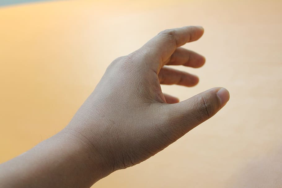 left human hand closeup photography, shuki, people, human Finger HD wallpaper