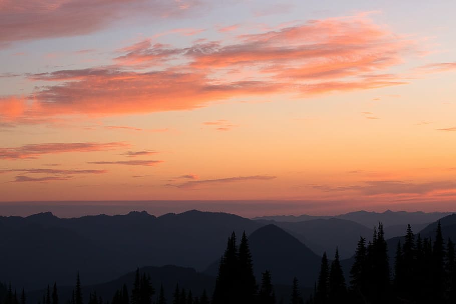 silhouette of trees and mountain at sunset, photograph, sky HD wallpaper