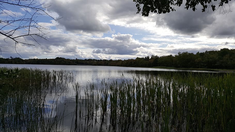 lake, grass, trees, nature, water, landscape, summer, sky, cloud - sky HD wallpaper