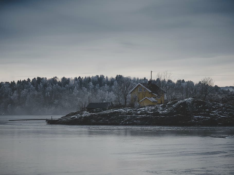 brown house near body of water, nature, landscape, woods, forest HD wallpaper