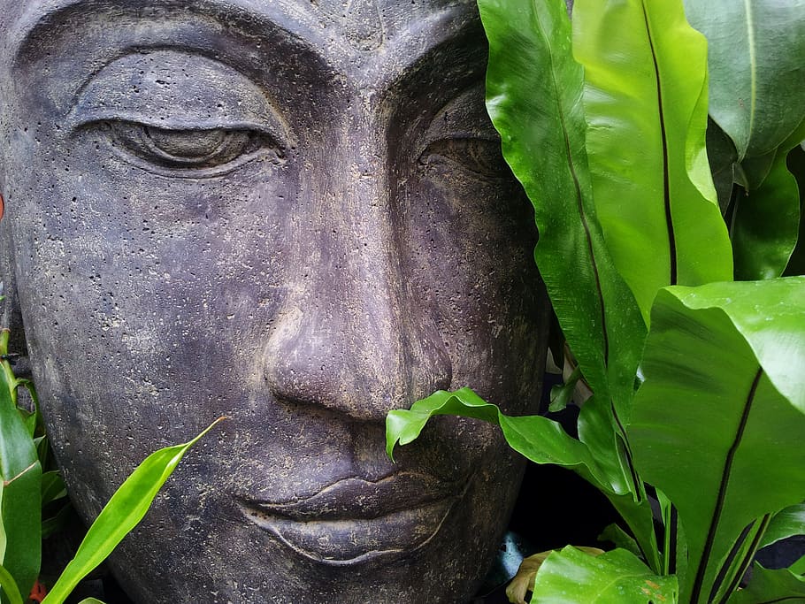 brown Buddah statue, zen, buddha, relax, tranquility, serenity HD wallpaper