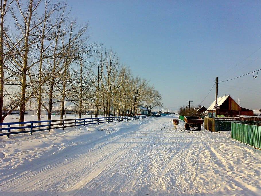 Landscape, Road, Winter, Snow, Ice, Sky, trees, horse, village HD wallpaper