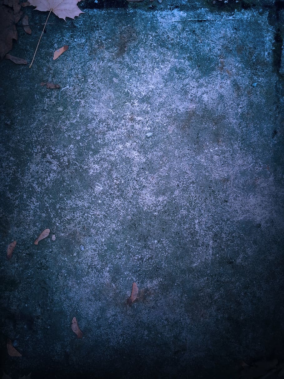 gray concrete floor, ground, stone, background, leaves, grunge HD wallpaper