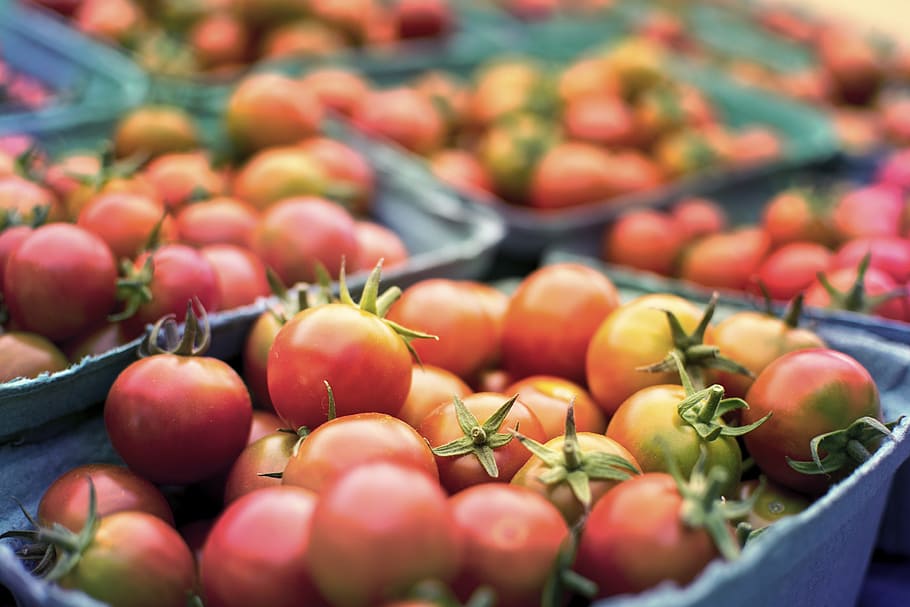 bunch of tomatoes, healthy, produce, grocery, farm, table, market, HD wallpaper
