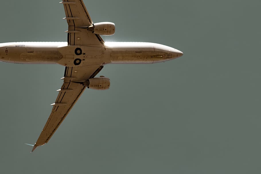 worm's-eye view of commercial airplane in sky, aerial photography of white plane flying HD wallpaper