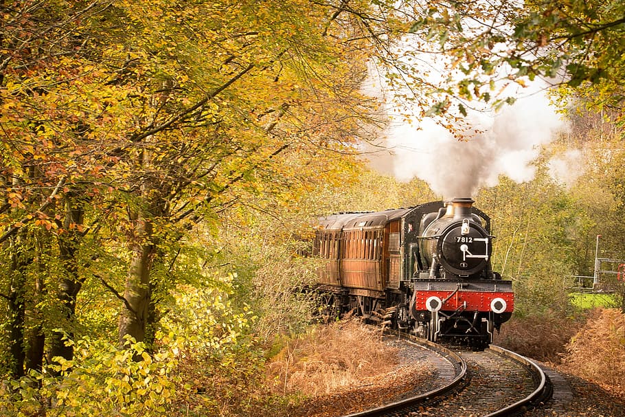 Autumn steam train, train travelling between trees at daytime HD wallpaper