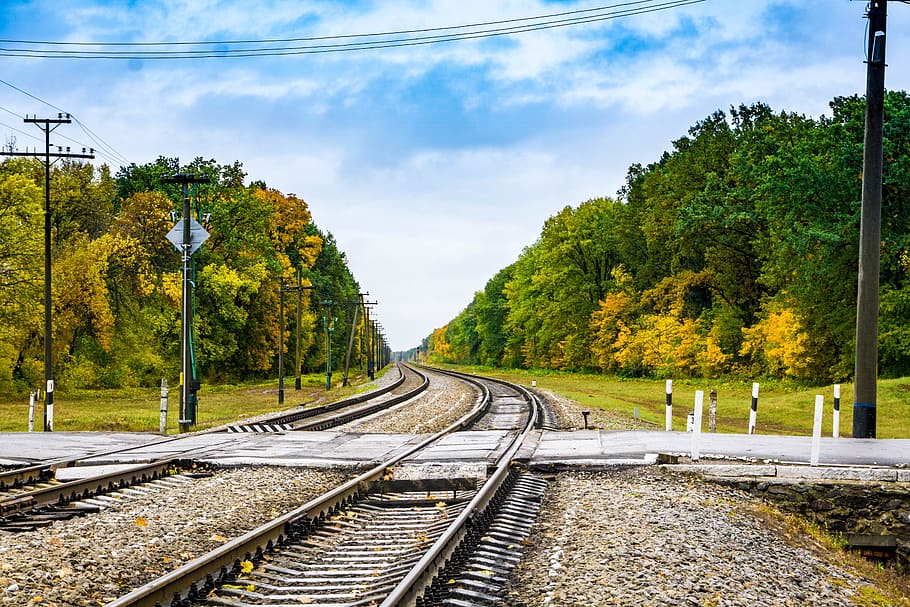 autumn, paint, forest, landscape, road, tree, rail transportation HD wallpaper