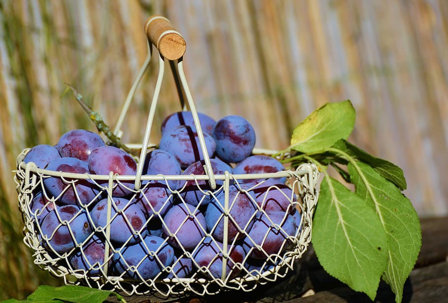 bunch of grapes on white basket, plums, fruit basket, violet HD wallpaper
