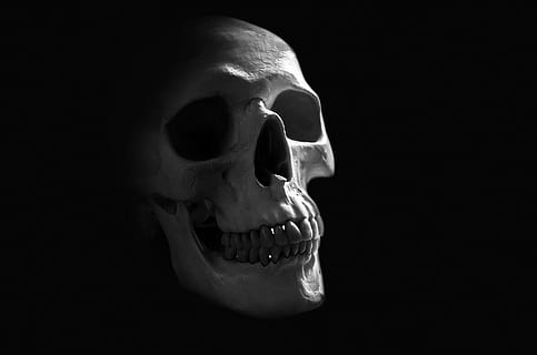human skull, anatomy, background, body, bone, brain, cranium HD wallpaper